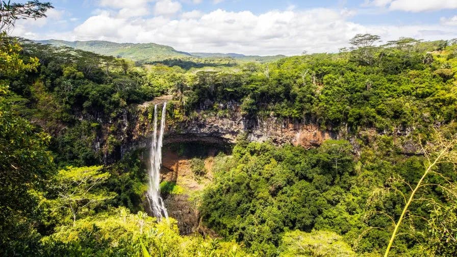 Black River Gorges National Park, Mauritius